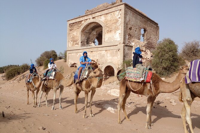 Essaouira: 1 Hour Dromedary + 2 Hours Quad - Frequently Asked Questions