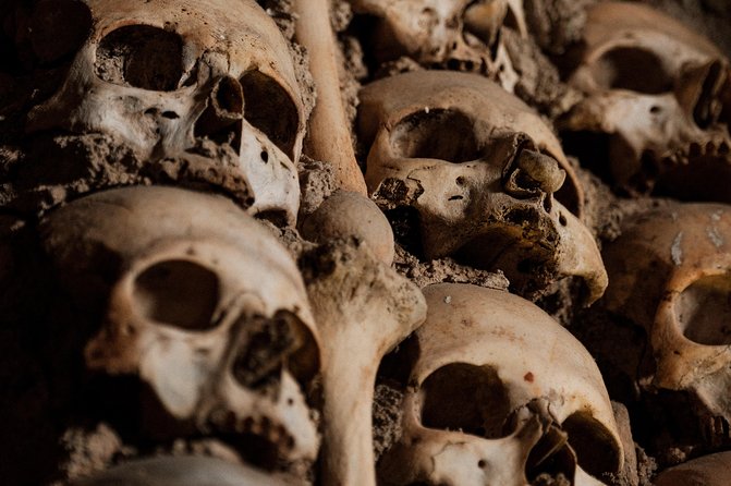 Évora Private Tour | Cork | Wine - Tour Highlights