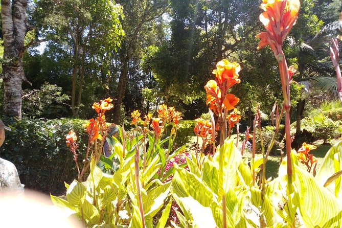 Excursion to Kiambethu Tea Farm - Meeting Details and Logistics