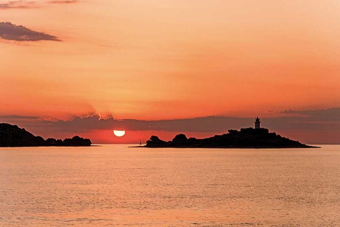 Experience a Sunrise With Dolphins - What to Expect on the Dolphin Watching Excursion