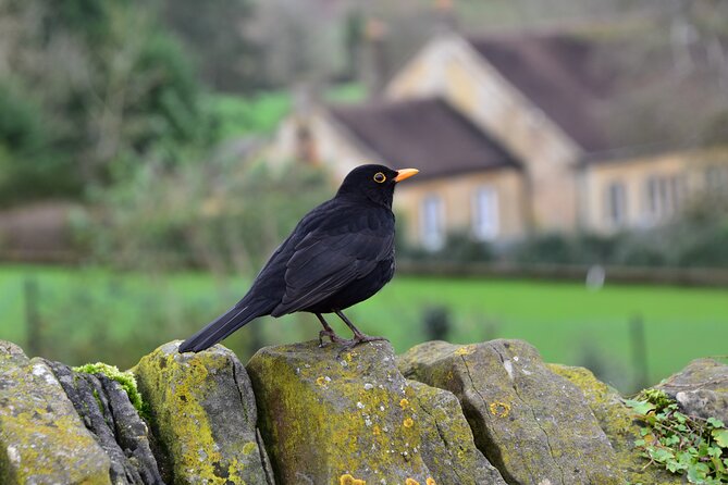 Explore the Cotswolds From Oxford Private Tour - Itinerary Highlights