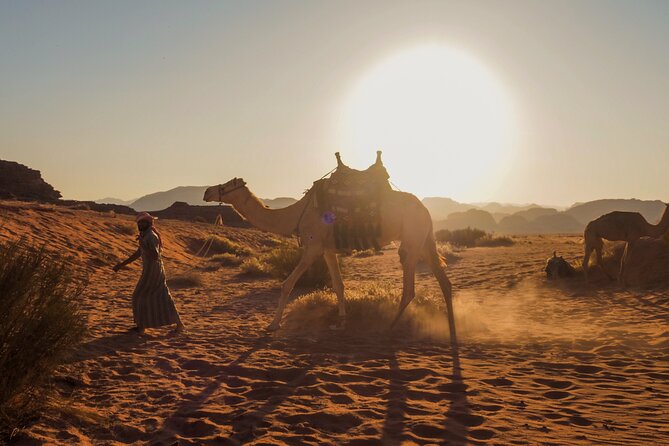 Explore Wadi Rum Desert With Camel Ride Experience With Stay - Included Amenities