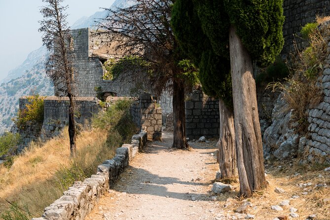 Exploring the Kotor Fortress Walking Tour - Meeting Point Details
