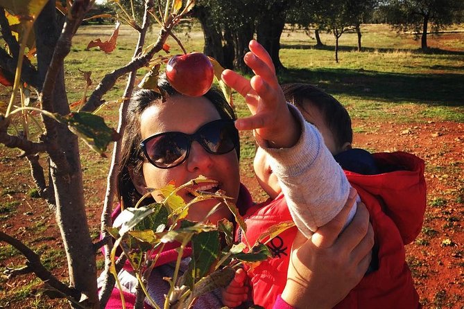 Farm-to-Table Cooking Class in an Organic Farm, Laconia, Greece! - Price and Reviews