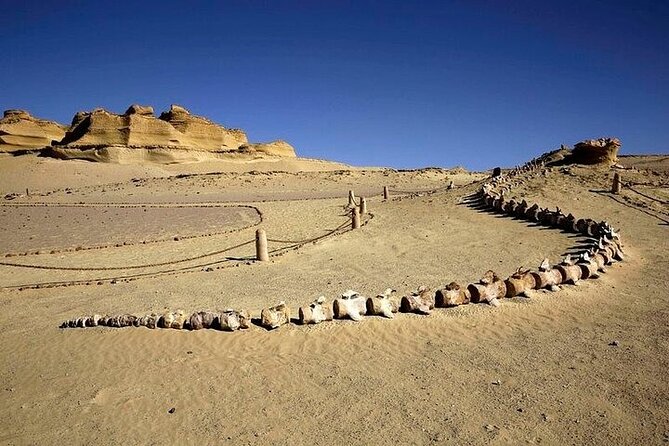 Fayoum Oasis and Waterfalls of Wadi El-Rayan Tour From Cairo - Price and Inclusions