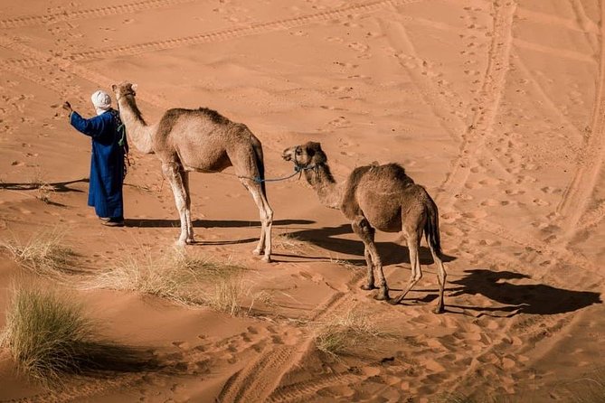Fes & the Magnificent Journey of the Sahara Desert - 5 Days - The Sum Up