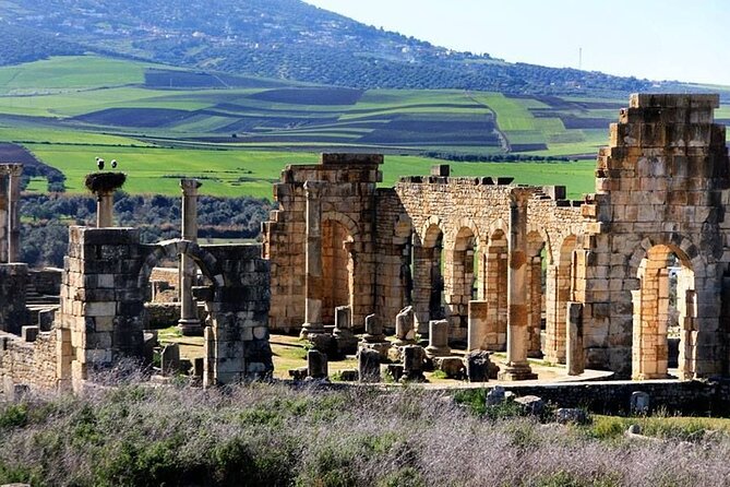 Fes to Volubilis, Moulay Idriss and Meknes Private Day Trip - Booking Directions
