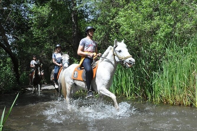 Fethiye Horse Riding Experience - Cancellation Policy