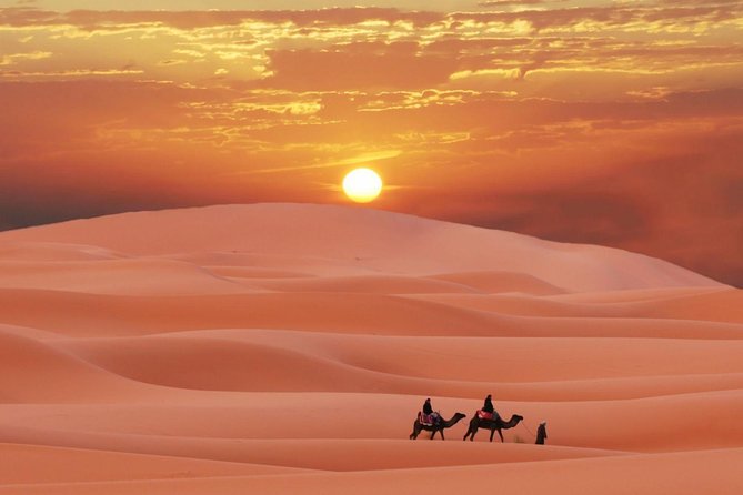 Fez Desert Tour 2 Days 1 Night (Fez-Merzouga-Fez) - Meal and Drink Inclusions