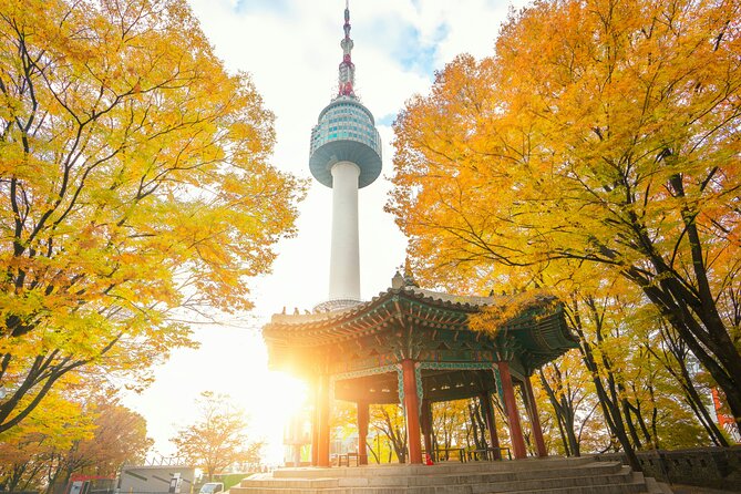 Flexible Private Guided Tour in Seoul (Optional Layover) - Customer Reviews Summary
