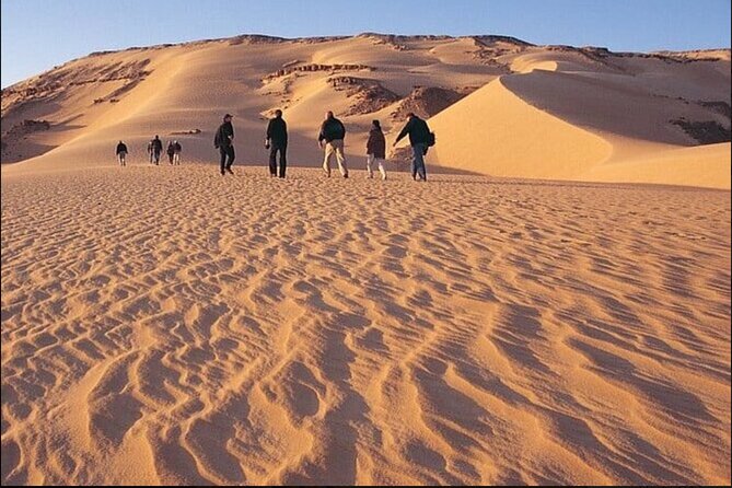 From Cairo to Whales Valley and Wadi El Rayan Waterfalls - Pickup Information and Logistics