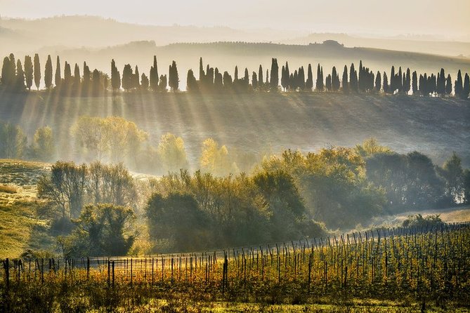 From Florence. Private Short Chianti Day With Winery Visit and Lunch - Accessibility