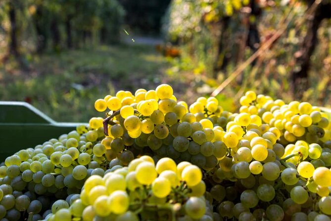 From MILAN Private Franciacorta & Amarone Valpolicella Wine Tour - Directions