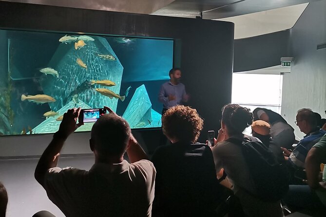 From Porto - Private Tour to Aveiro and Ilhavo Drop-off in Lisbon - Frequently Asked Questions