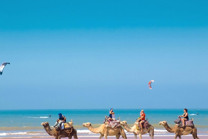 From Tangier : Full-Day Trip to Paradise Beach - Additional Information