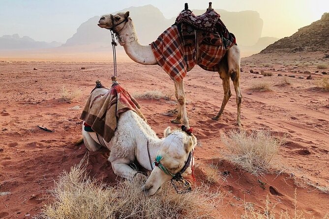 Full Day 4x4 Classic Desert Tour With Overnight in Private Tent - Reviews