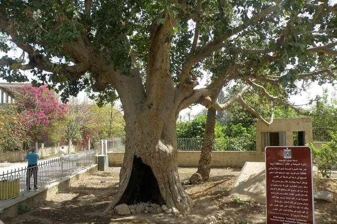 Full Day Bethlehem and Jericho Tour From Jerusalem - What To Bring