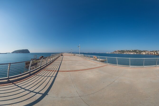 Full-Day Bike Guided Tour in Napoli With Wine Tasting - Additional Information for Participants