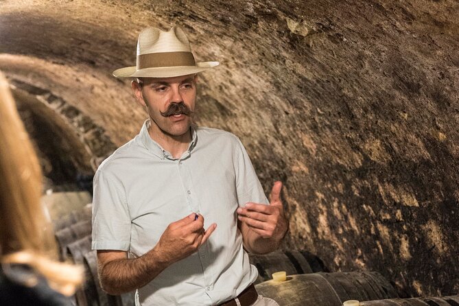 Full-Day Custom Tokaj Wine Tour - The Sum Up