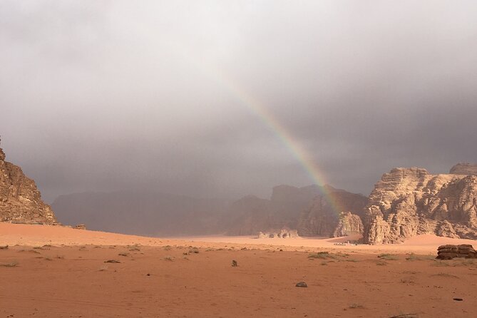 Full-Day Desert Highlights Wadi Rum Jeep Tour - Pricing and Booking
