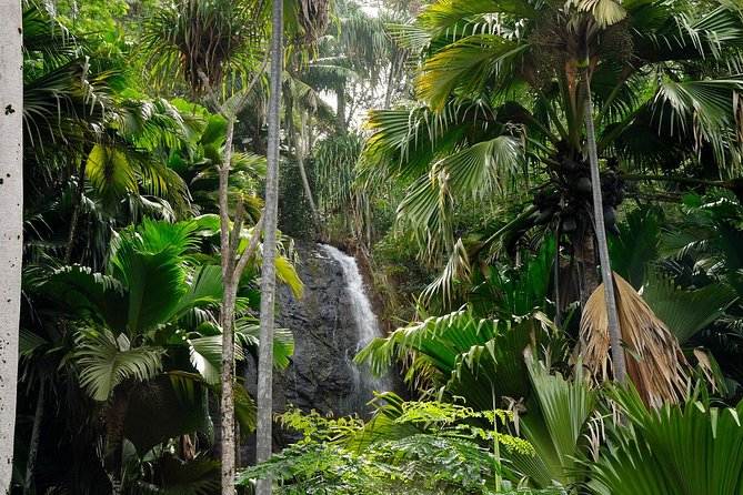 Full Day Discovery Tour of Vallee De Mai and Anse Lazio on Praslin Island - Reviews
