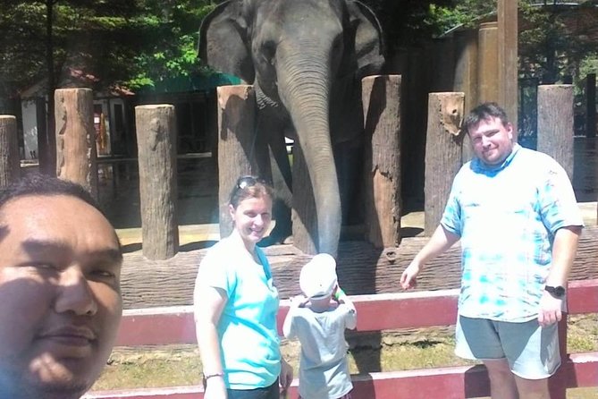 Full Day Elephant Sanctuary Tour With a Free Batu Caves Visit - Important Details
