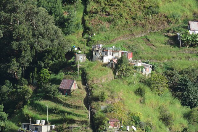Full Day Guided Tour in Madeira Islands - Multilanguage Guides