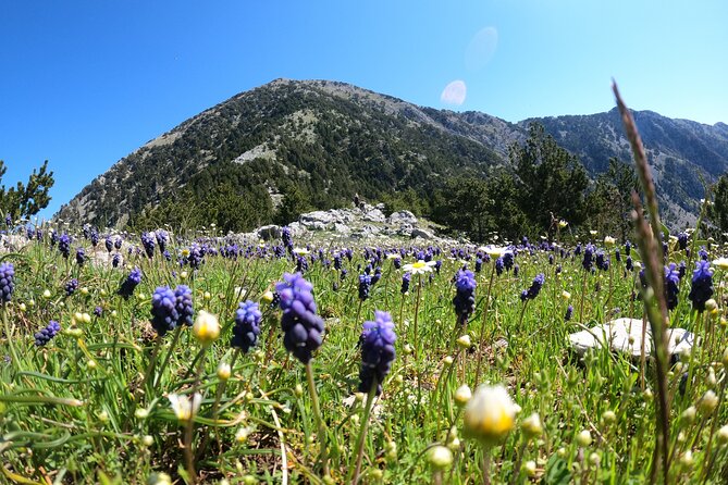 Full Day Hiking at Qorre Peak Llogara National Park - Amenities Provided