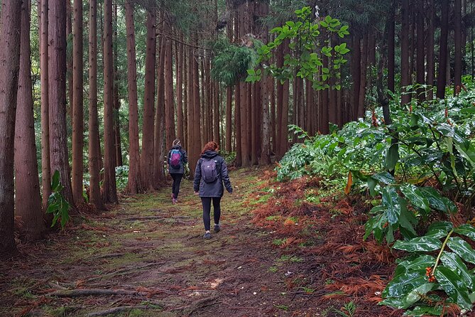 Full Day Hiking Trail Waterfalls- in Lomba De São Pedro - Azores - Requirements