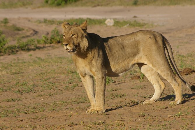 Full Day Hwange Day Trip - Frequently Asked Questions