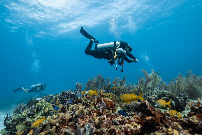 Full Day Intro Diving for Beginners With Lunch - Marsa Alam - Wrap-Up