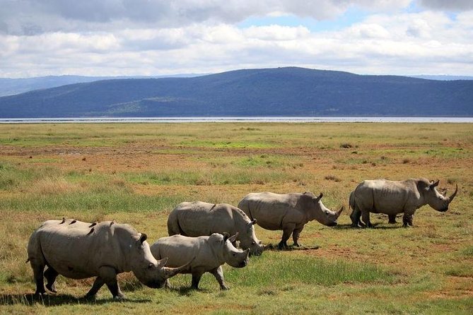 Full-Day Lake Nakuru National Park Guided Tour From Nairobi - Booking Information