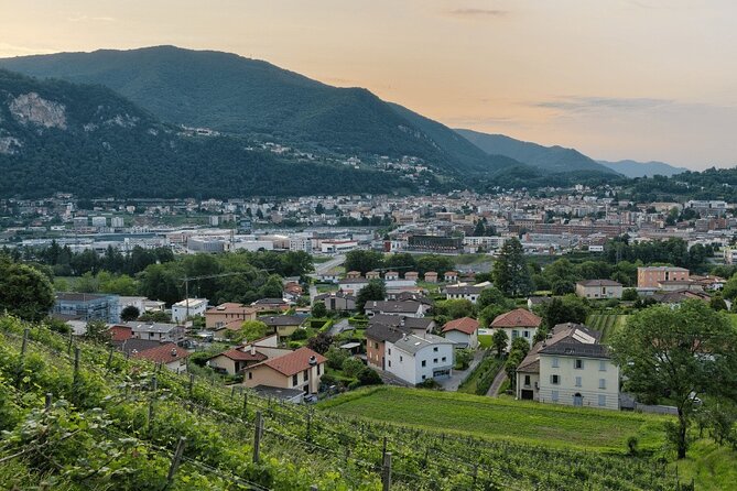Full Day Lugano and Foxtown Outlet From Bellagio Varenna Milano - Additional Information