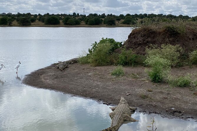 Full-Day Nairobi Circuit Private and Guided Tour - Pickup Information