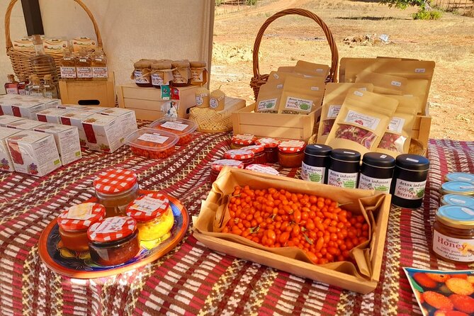 Full-Day Photo Tour in Algarve Countryside Private - Meeting/Pickup