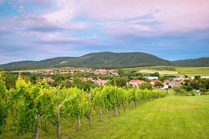 Full-Day Private Etyek Wine Tour Experience From Budapest - Tour Experience