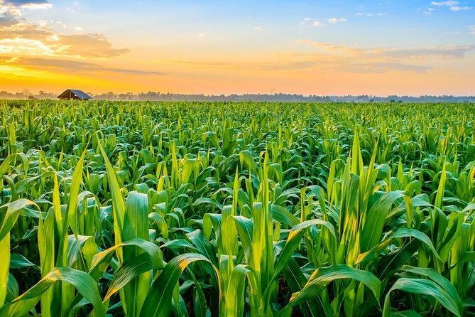 Full-Day Private Farm Area Tour - Reviews
