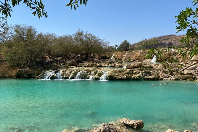Full Day Private Guided Day Trip in Salalah - Customer Reviews and Testimonials