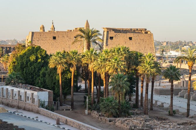 Full-Day Private Guided Tour to Luxor From Soma Bay - Accessibility Information