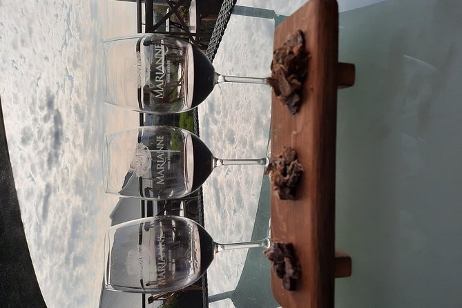 Full-Day Private Guided Wine Tasting Tour of Cape Wineries - Cancellation Policy