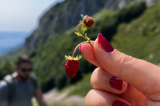 Full Day Private Hiking Tour in Jablanica - Summary