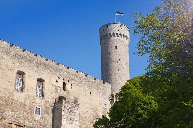 Full Day Private Shore Tour From Tallinn Cruise Port - Booking Information