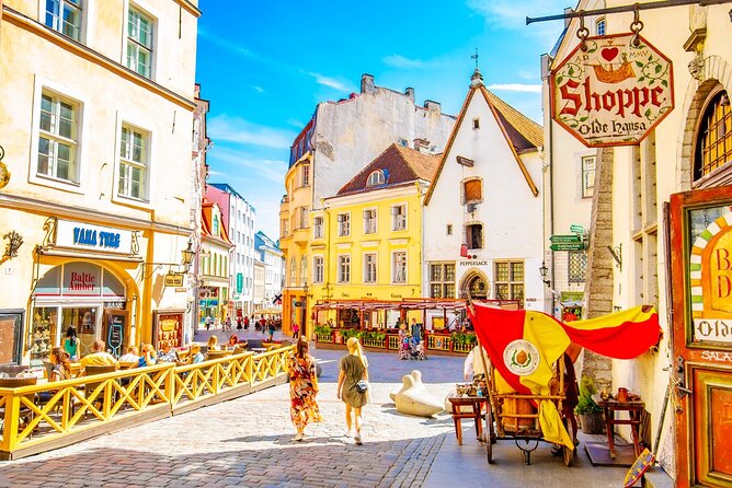 Full Day Private Shore Tour in Tallinn From Tallinn Cruise Port - Pricing and Booking