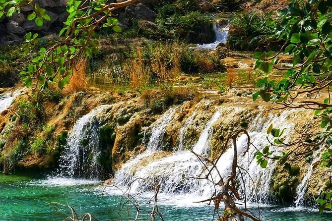 Full Day Private Tour in Dhofar Mountains and Beaches - Tour Reviews