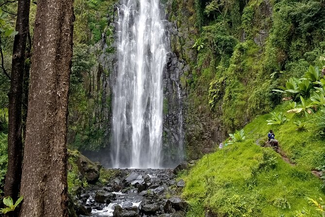 Full Day Private Tour to Materuni Waterfalls, Coffee Tour & Kikuletwa Hot Spring - Booking Information