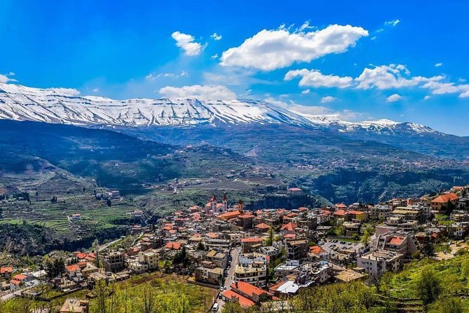 Full-Day Private Tour to Qadisha Valley, Bcharre and Cedars - Operator and Tour Details