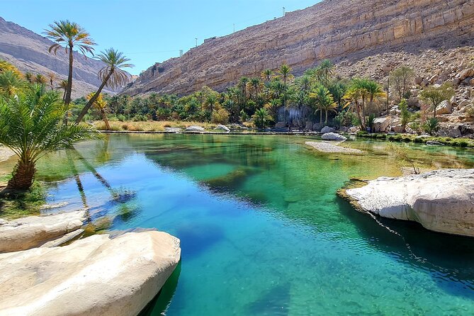 Full-Day Private Wahiba Sands Desert and Wadi Bani Khalid Tour - Accessibility and Cancellation Policy