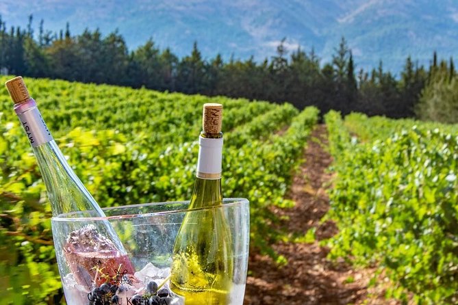 Full-Day Private Wine Tasting Tour - The Sum Up and Recommendations