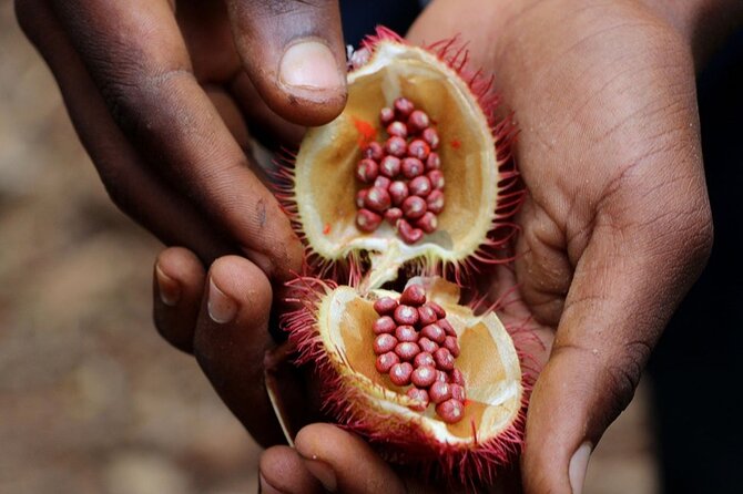 Full Day Private Zanzibar Triple Delight Tour - Pickup Details