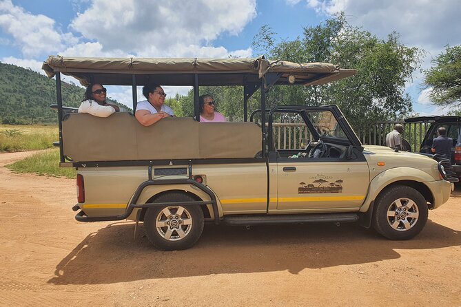 Full Day Safari From Johannesburg - Pilanesberg Nature Reserve - The Sum Up